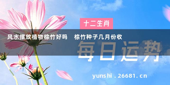 风水摆放植物棕竹好吗 棕竹种子几月份收